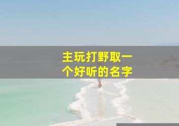 主玩打野取一个好听的名字