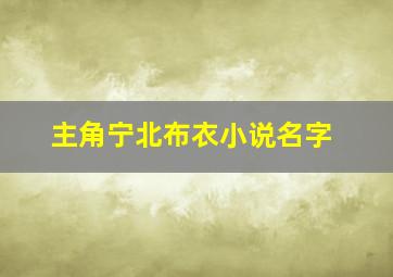 主角宁北布衣小说名字