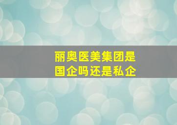 丽奥医美集团是国企吗还是私企