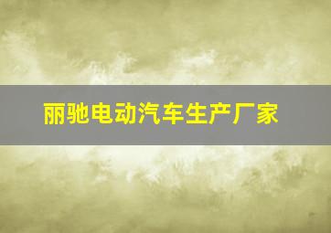 丽驰电动汽车生产厂家