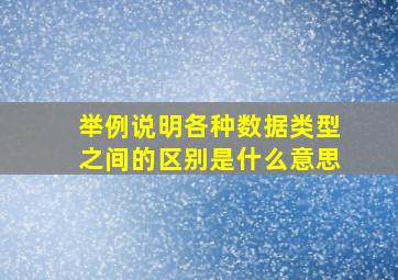 举例说明各种数据类型之间的区别是什么意思