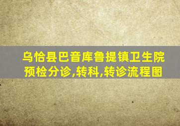 乌恰县巴音库鲁提镇卫生院预检分诊,转科,转诊流程图