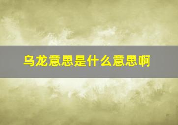 乌龙意思是什么意思啊