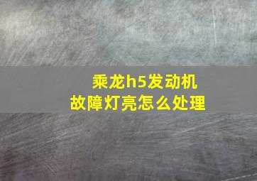 乘龙h5发动机故障灯亮怎么处理