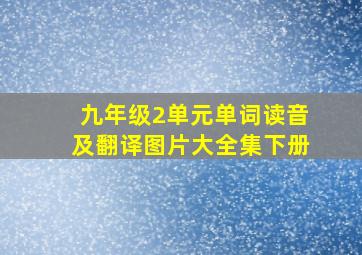 九年级2单元单词读音及翻译图片大全集下册