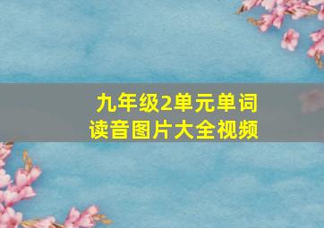 九年级2单元单词读音图片大全视频