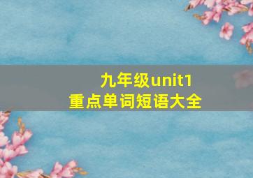 九年级unit1重点单词短语大全