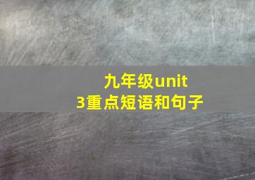 九年级unit3重点短语和句子