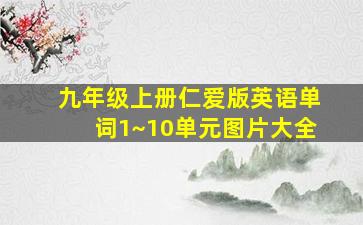 九年级上册仁爱版英语单词1~10单元图片大全