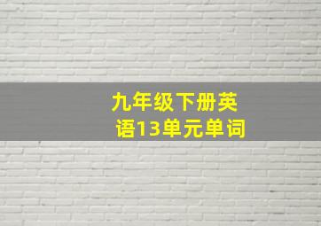 九年级下册英语13单元单词