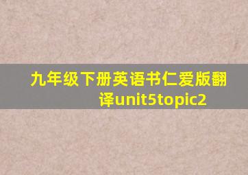 九年级下册英语书仁爱版翻译unit5topic2