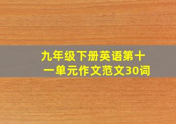 九年级下册英语第十一单元作文范文30词