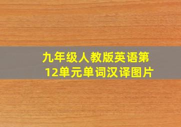 九年级人教版英语第12单元单词汉译图片