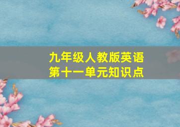 九年级人教版英语第十一单元知识点