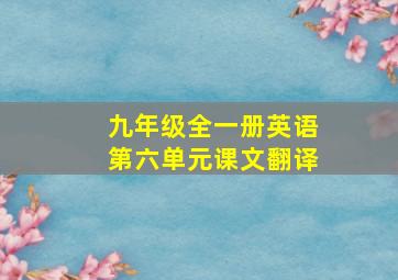 九年级全一册英语第六单元课文翻译