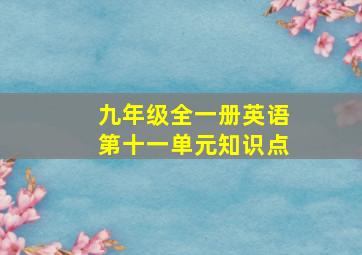 九年级全一册英语第十一单元知识点