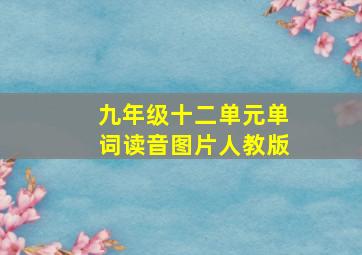 九年级十二单元单词读音图片人教版