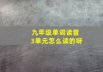 九年级单词读音3单元怎么读的呀