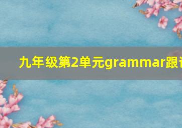 九年级第2单元grammar跟读