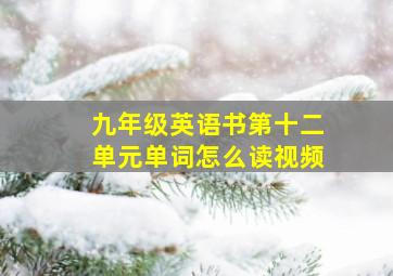 九年级英语书第十二单元单词怎么读视频