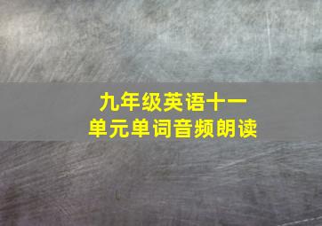 九年级英语十一单元单词音频朗读