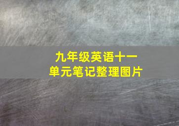 九年级英语十一单元笔记整理图片