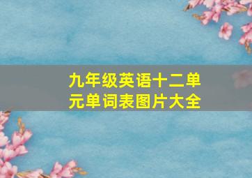 九年级英语十二单元单词表图片大全