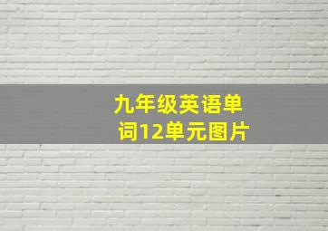 九年级英语单词12单元图片