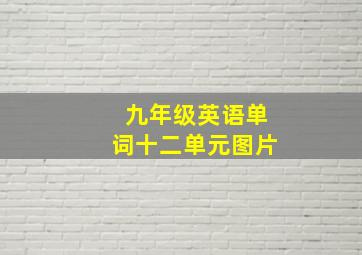 九年级英语单词十二单元图片