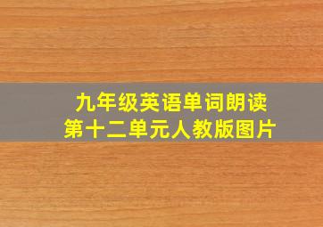 九年级英语单词朗读第十二单元人教版图片