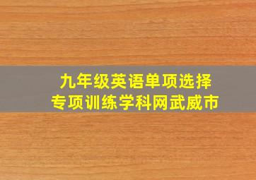 九年级英语单项选择专项训练学科网武威市