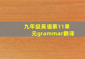 九年级英语第11单元grammar翻译