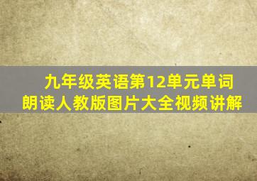 九年级英语第12单元单词朗读人教版图片大全视频讲解