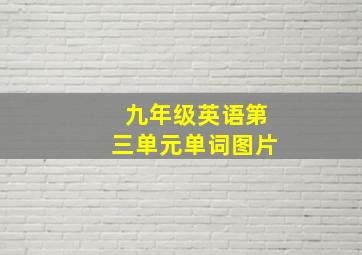 九年级英语第三单元单词图片