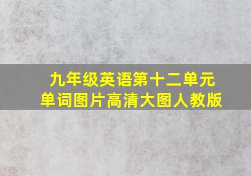 九年级英语第十二单元单词图片高清大图人教版