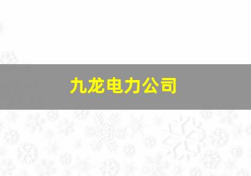 九龙电力公司