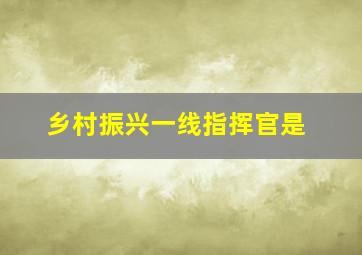 乡村振兴一线指挥官是