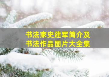 书法家史建军简介及书法作品图片大全集