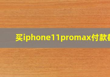 买iphone11promax付款截图