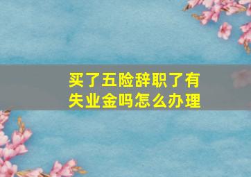 买了五险辞职了有失业金吗怎么办理