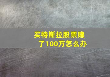 买特斯拉股票赚了100万怎么办