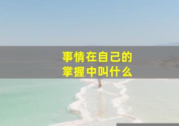 事情在自己的掌握中叫什么