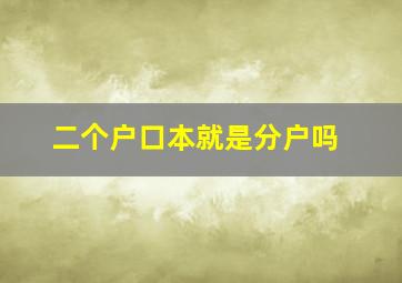 二个户口本就是分户吗