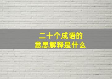 二十个成语的意思解释是什么