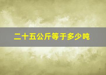 二十五公斤等于多少吨