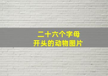 二十六个字母开头的动物图片