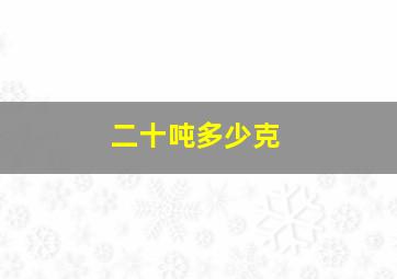 二十吨多少克