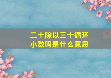 二十除以三十循环小数吗是什么意思