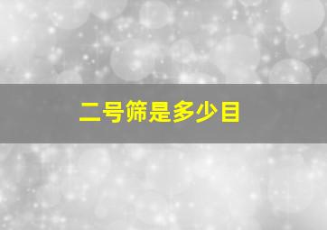 二号筛是多少目