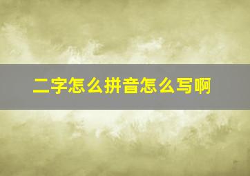 二字怎么拼音怎么写啊